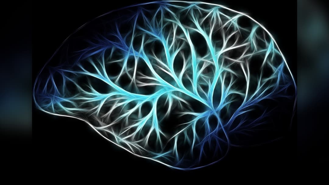 Landscape visualization of glowing neural connections and memory pathways in the human brain