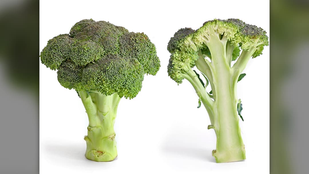 17. Broccoli