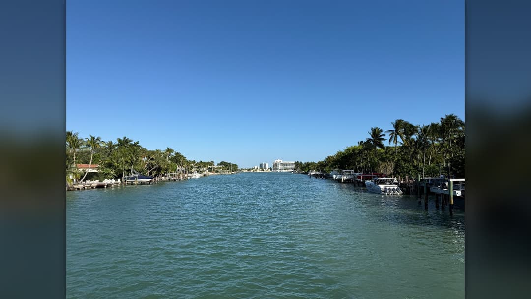 Waterfront view along Indian Creek in Miami Beach lined with tropical palm trees and private docks