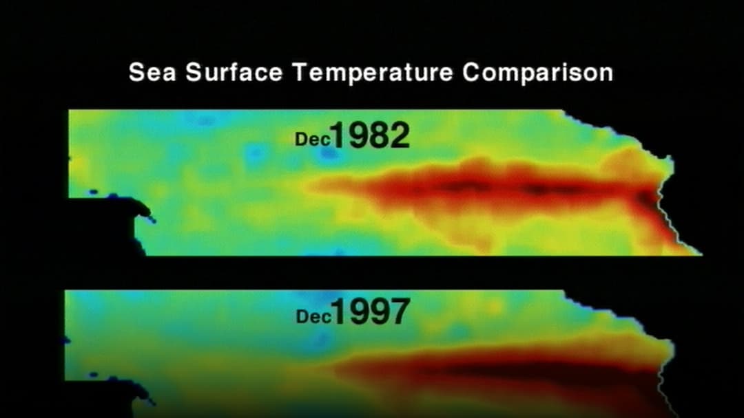 Global ocean temperature anomaly map highlighting El Niño warm waters.