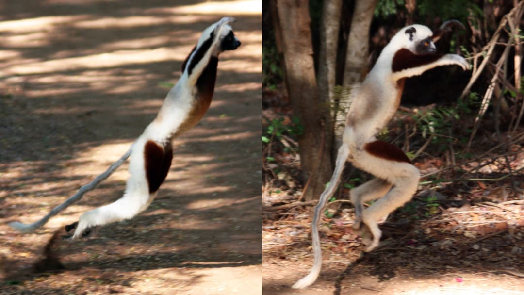 6. Sideways Dance Moves