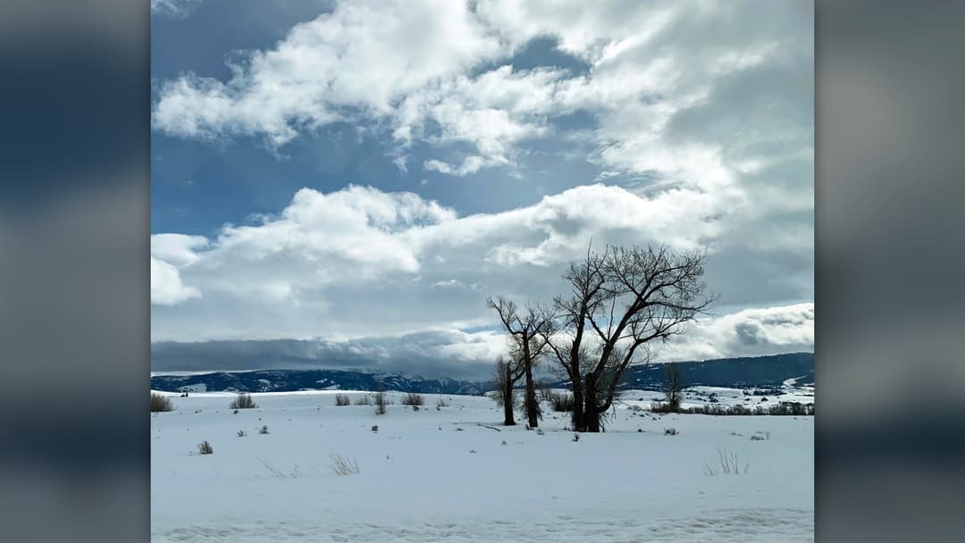 Roadside winter snow scene near Jackson Hole, Wyoming