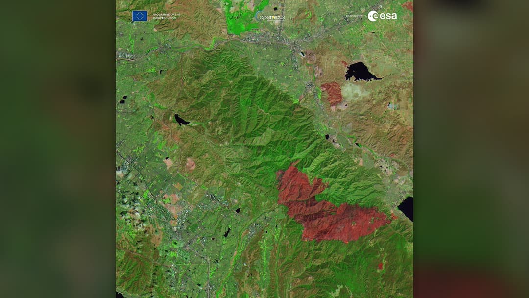 30. Satellite Wildfire Detection Networks
