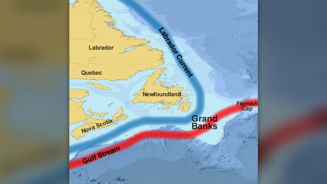 20. The Gamble At The Flemish Cap