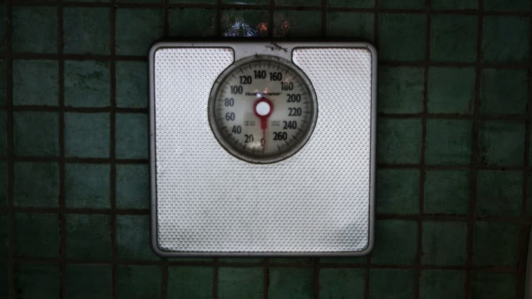 10. Muscle Can Turn Directly Into Fat