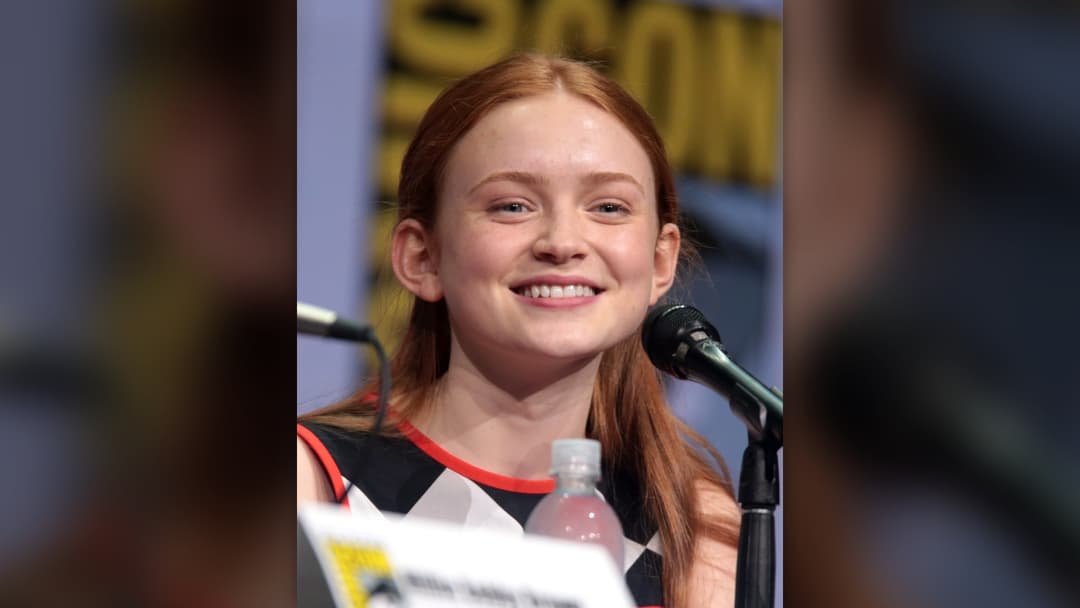 Actress Sadie Sink speaking at a panel event in San Diego.