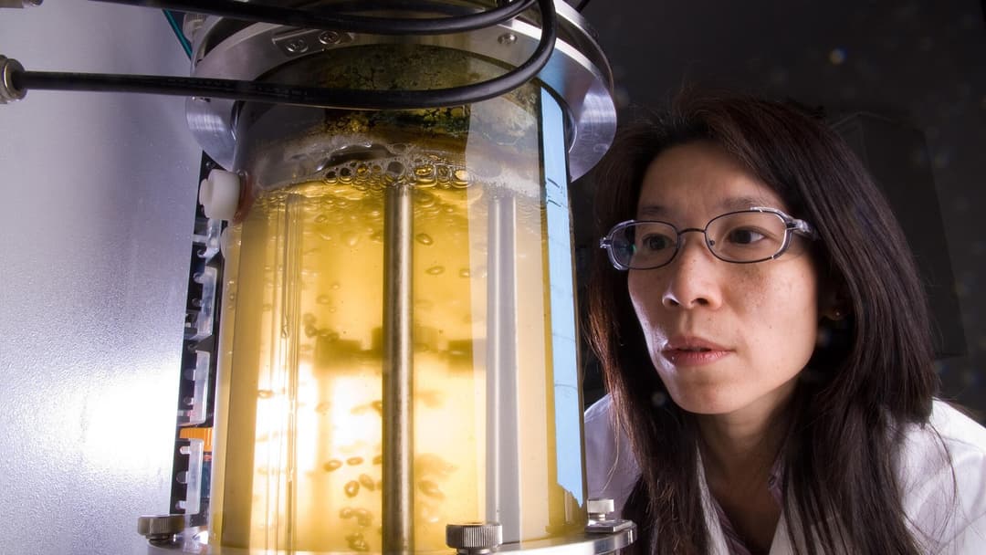 5. The High-Oil Algae Biofuel Method