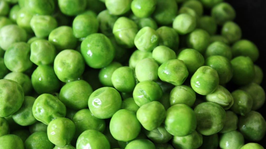 Vibrant freshly harvested and frozen green peas