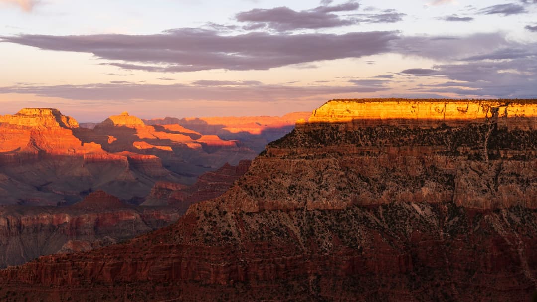 18. Arizona (5 Area Codes)