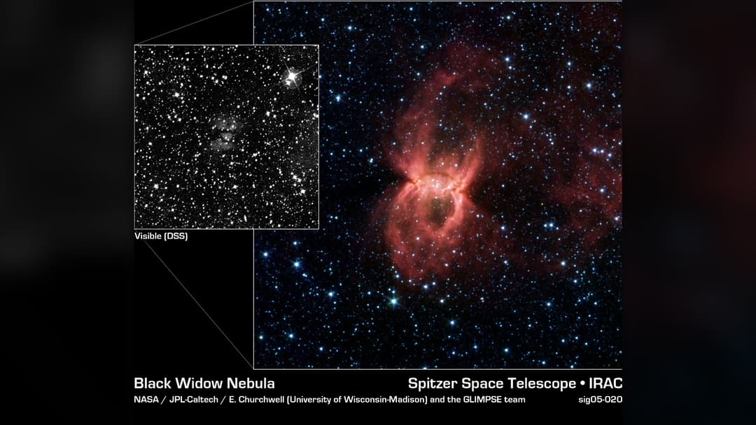 Spitzer Space Telescope infrared view of the Black Widow Nebula showing twin dust bubbles and spider-like legs