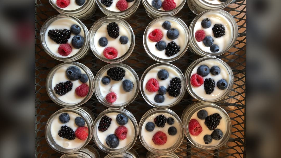 Bowl of thick cultured yogurt topped with fresh berries and seeds