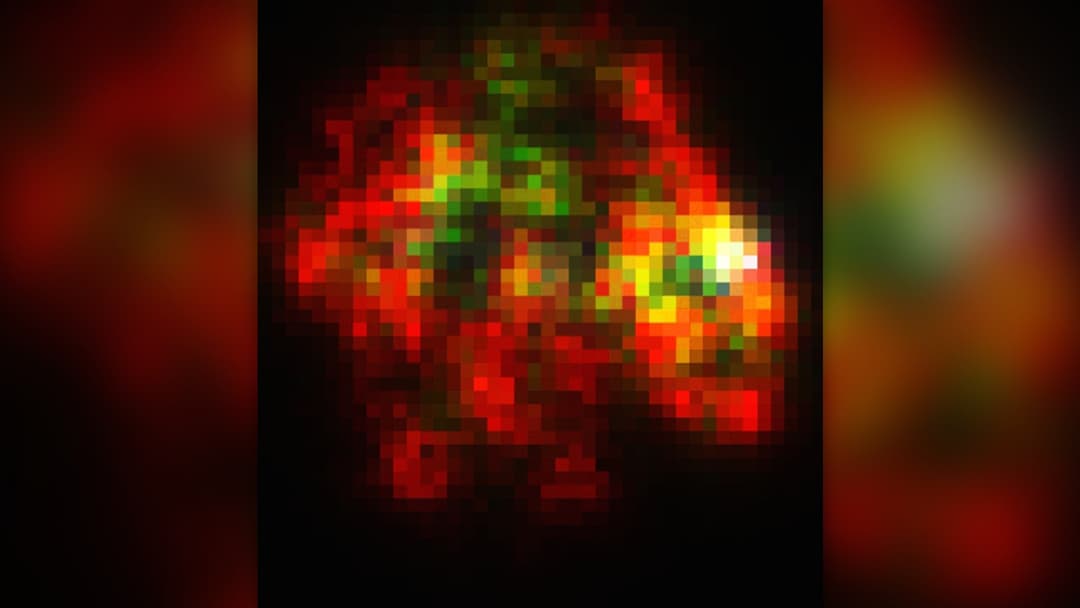 NASA Chandra deep space X-ray density map illustrating cosmic filaments and vast empty supervoids