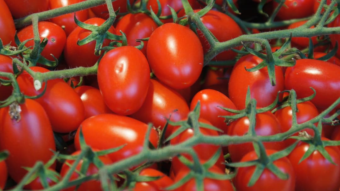 5. Tomatoes