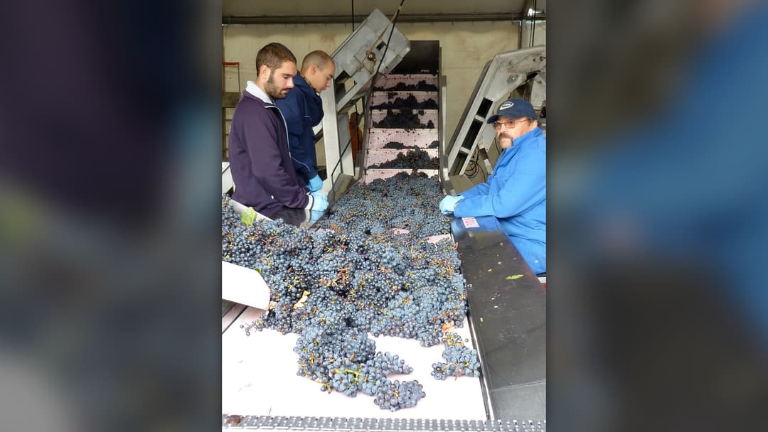 20. Spain: Twelve Midnight Grapes