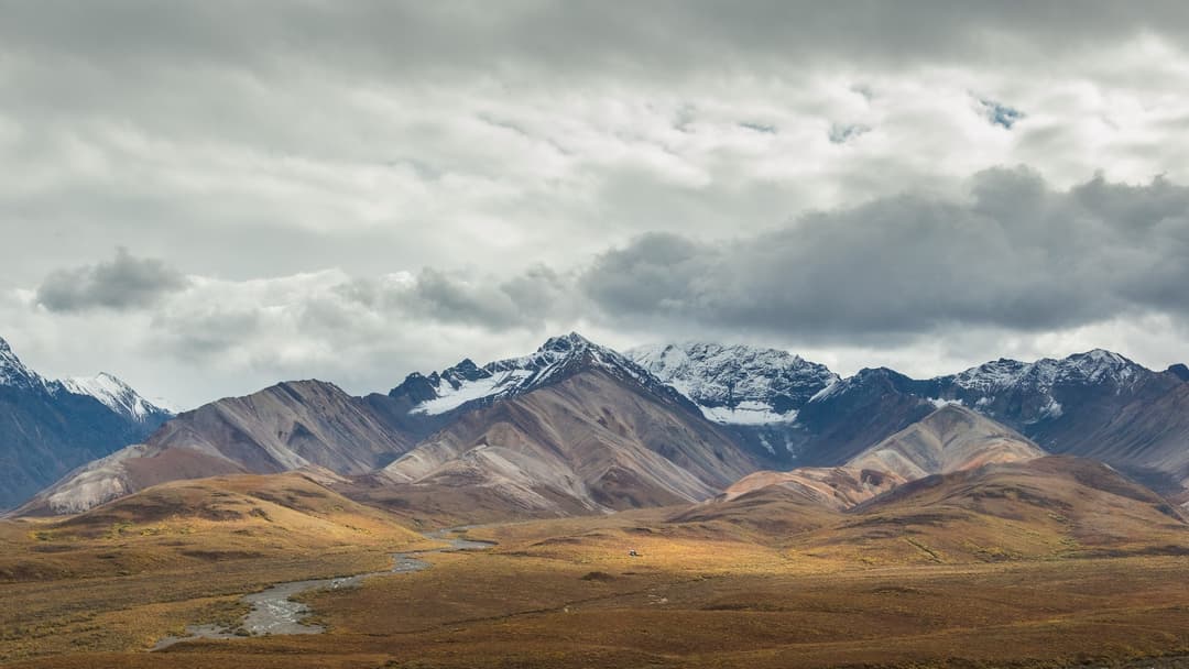 25. Alaska (1 Area Code)