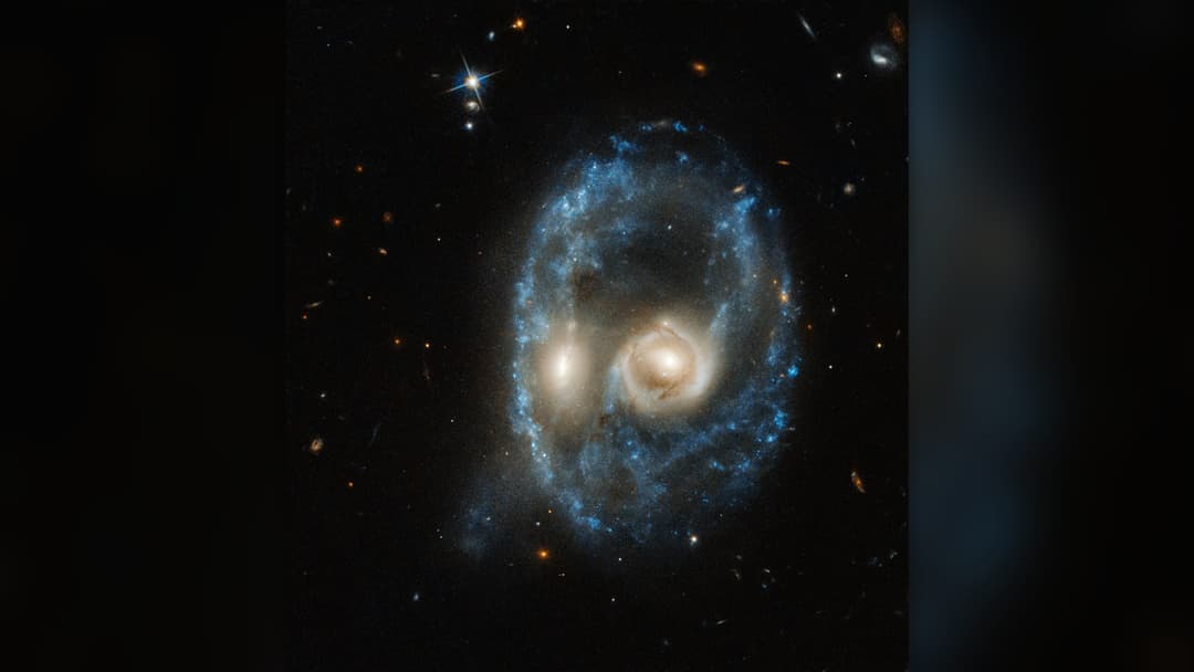 Hubble Space Telescope image of colliding galaxies Arp-Madore 2026-424 forming a ghostly face with two glowing eyes