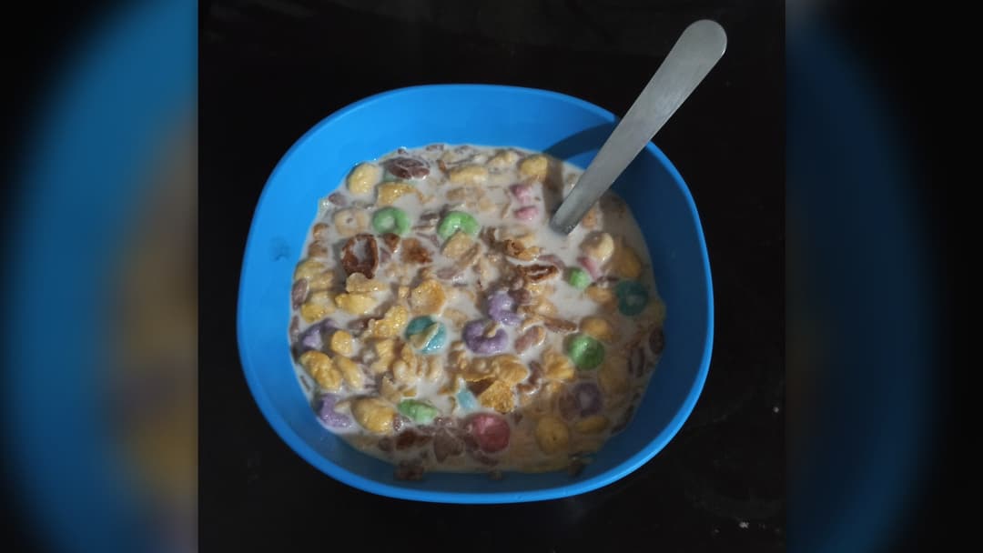 11. Frosted And Sweetened Breakfast Cereals
