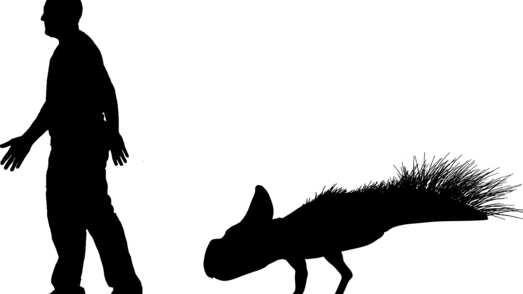 22. Protoceratops And The Griffin