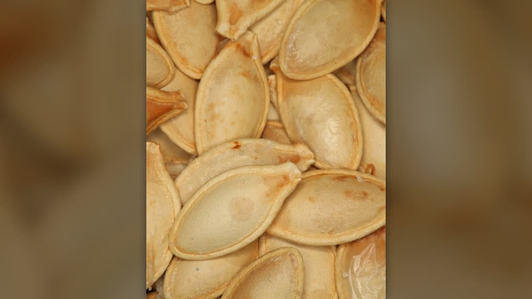 Close-up macro photograph of roasted green pumpkin seeds