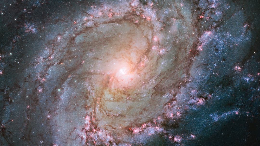 20. Supernova SN 2010lt (2011)