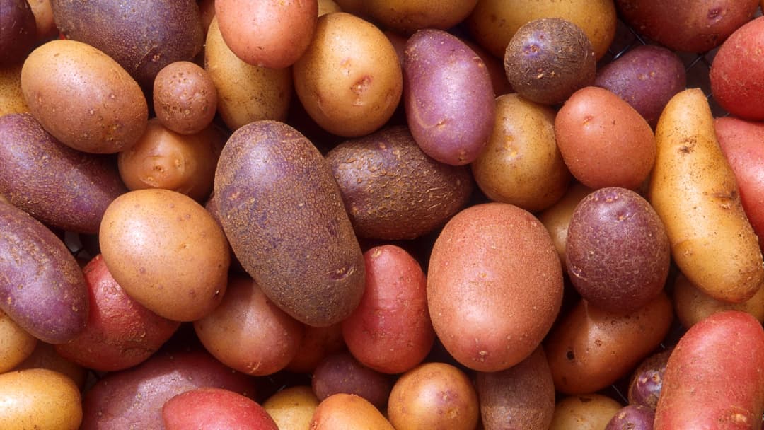 25. Potatoes