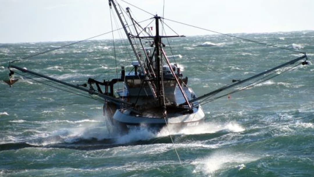 12. The Sinking Of The Satori
