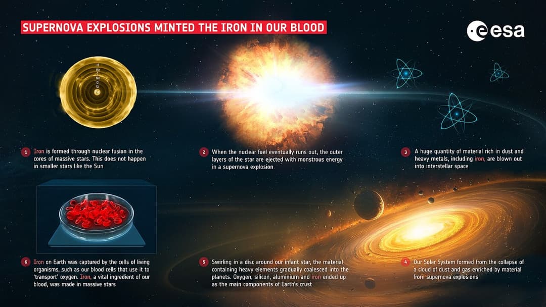 12. Interstellar Supernova Dust