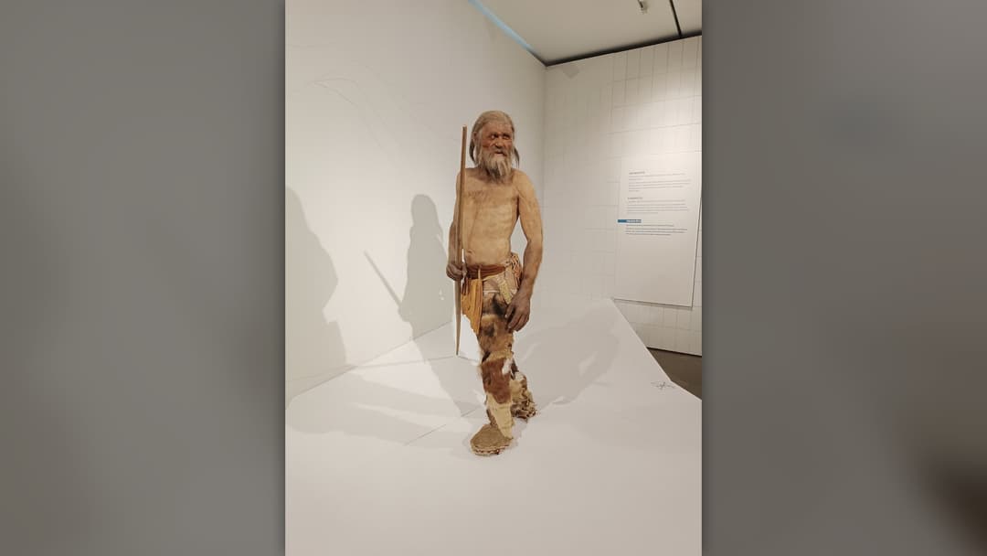 2. Otzi The Iceman