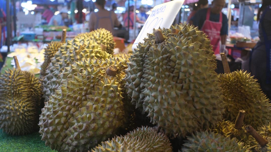 19. Southeast Asian Durian