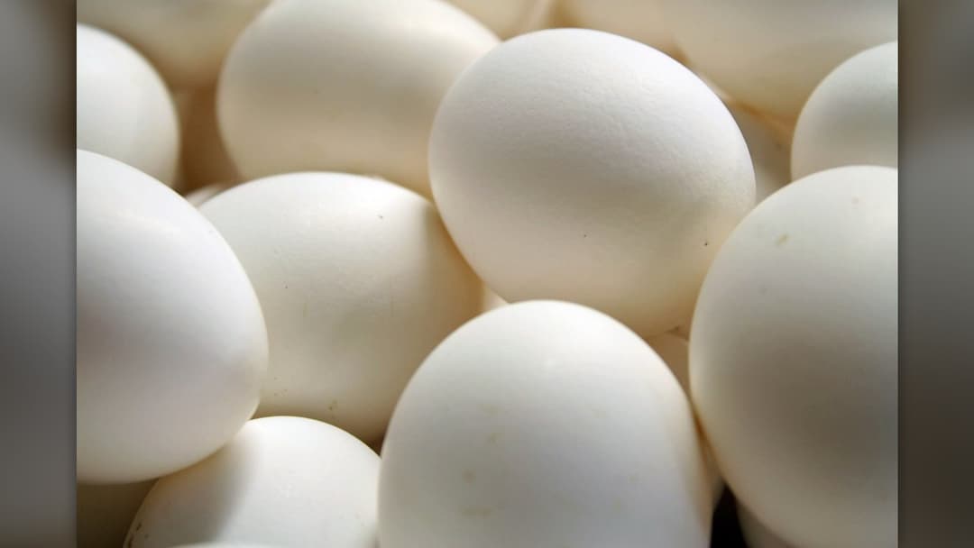 Fresh brown organic eggs arranged in a carton bathed in warm natural morning sunlight.