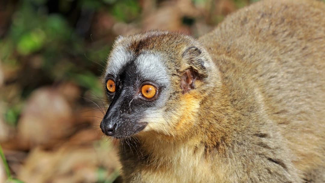 18. Over 100 Unique Species