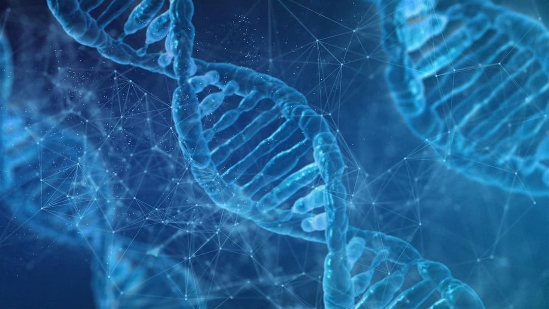 Glowing blue DNA double helix strands representing genetic similarity between married spouses