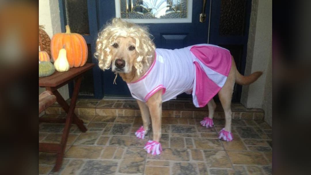 6. Check Costumes For Choking Hazards