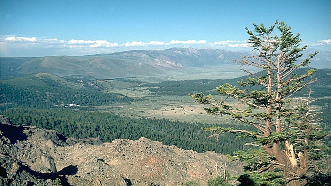 View across the forested floor and northeast rim of Long Valley Caldera in California.