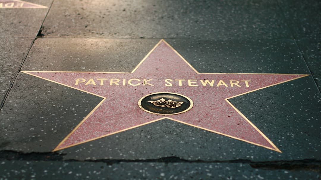 15. Star On The Hollywood Walk Of Fame