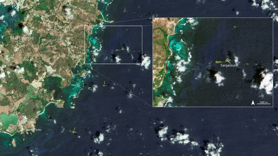 6. The Sargasso Sea, The Only Sea On Earth Without A Coastline