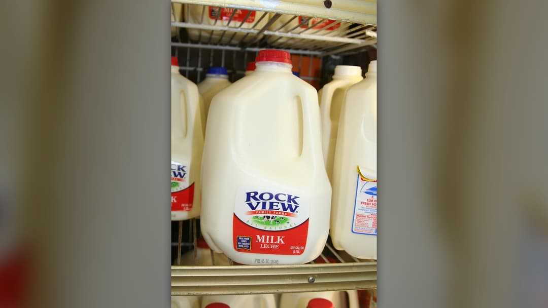 One-gallon translucent plastic milk jug with molded handle