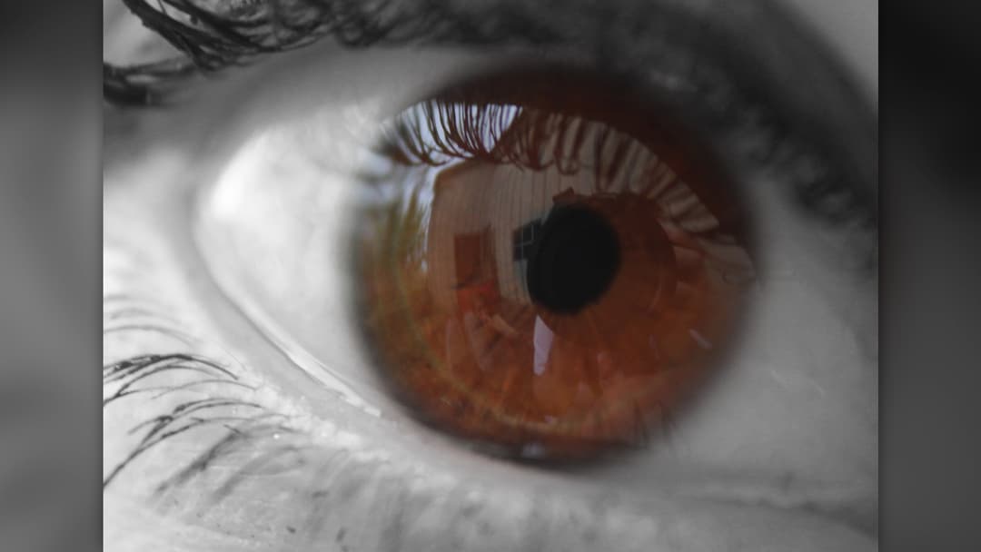 3. Brown Eyes And Perception Of Trustworthiness