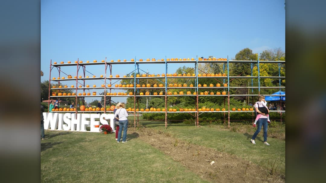 16. Multi-Tiered Pumpkin Festival Displays