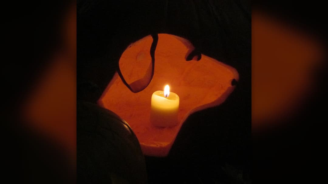 5. The Precision Pet Dog Silhouette