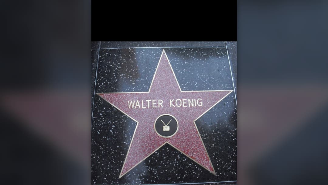 #5 Earning Star 2,479 On The Hollywood Walk Of Fame (2012)