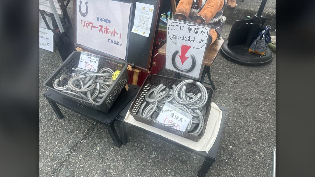 Iron horseshoes placed for good fortune and protection
