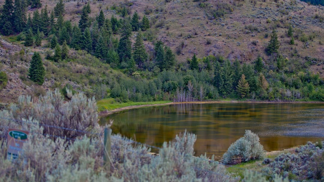 8. Spotted Lake Mineral Basins: 700 Meters Across