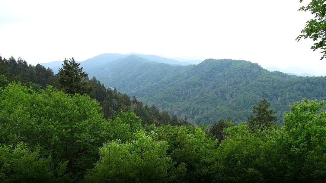 Layers of blue-misted mountain ridges stretching across the Great Smoky Mountains landscape.