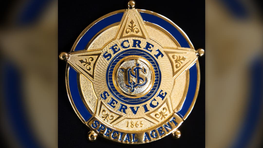 12. The US Secret Service Cyber Role