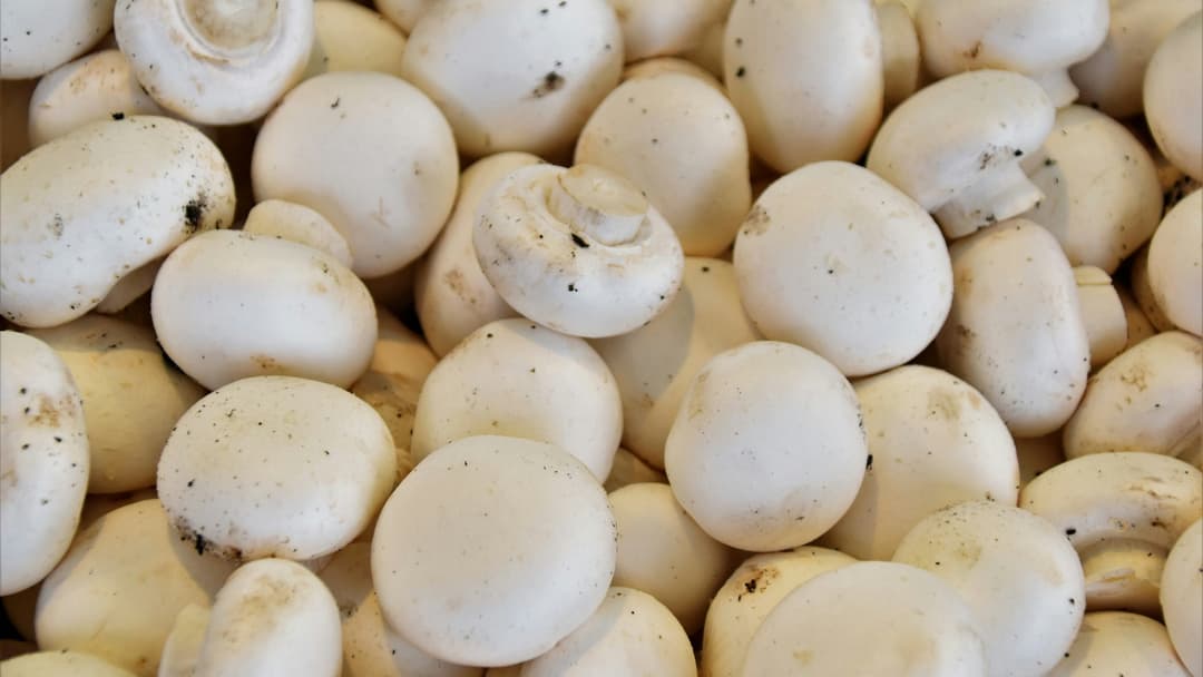 4. White Button Mushrooms