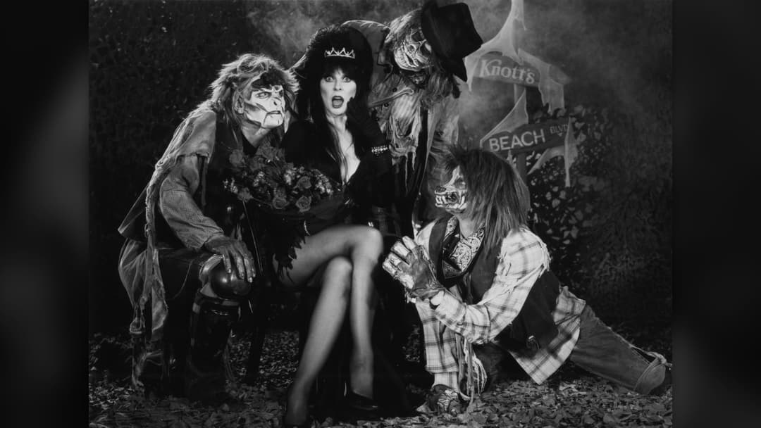 1. Elvira: Plunging Gothic Velvet Gown