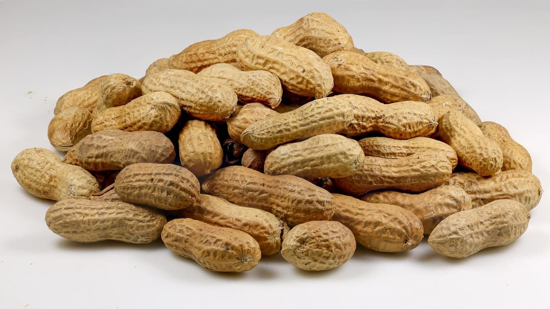 18. Salted Peanuts In Cold Coca-Cola