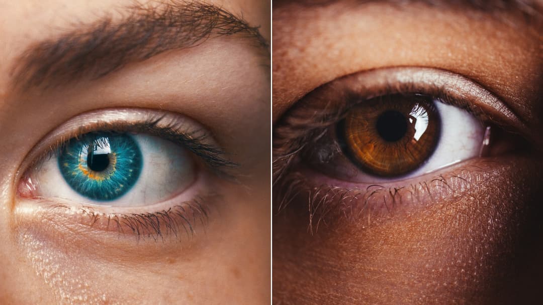 What science reveals your eye color may say about your health and genetics.