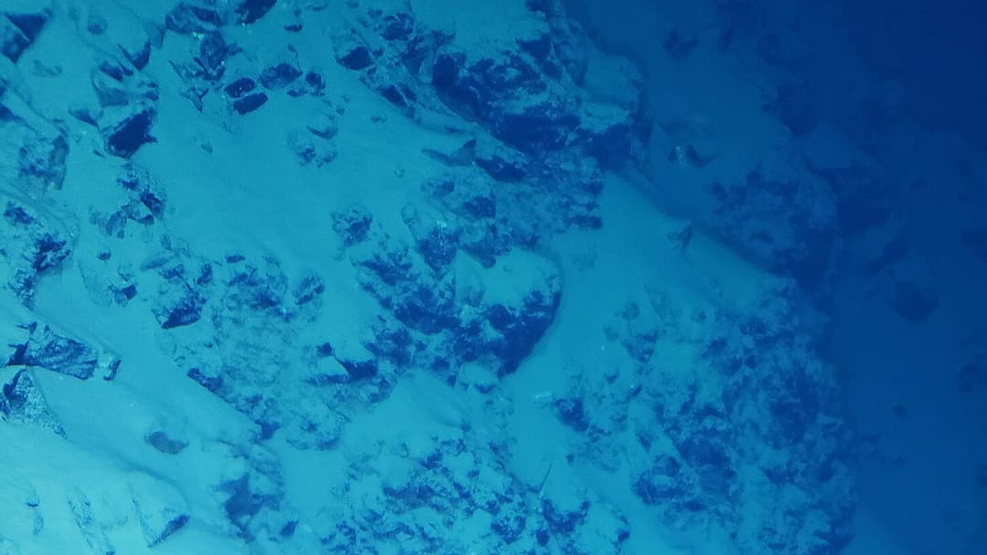 Submersible view of the steep rock wall and sediment-dusted boulders in Challenger Deep at 36,000 feet.